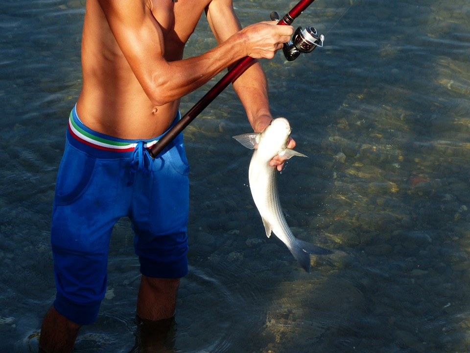 Łowić ryby